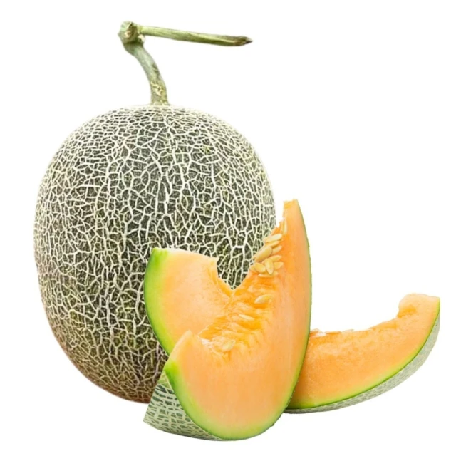 哈密瓜