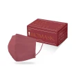 【BioMask保盾】醫療口罩-莫蘭迪系列-紅絲絨-成人用-20片/盒(醫療級、雙鋼印、台灣製造)