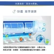 【ROYAL LIFE】空調冷氣免拆式清潔泡泡(分離式 窗型 室外機 空調扇 冷氣保養)