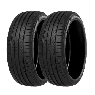【MINERVA】F205 米納瓦低噪排水運動操控轎車輪胎 二入組 235/40/19(安托華)