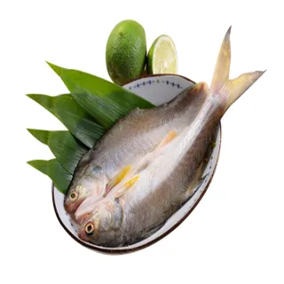 【華得水產】新鮮午仔魚4尾(250-280g/尾)