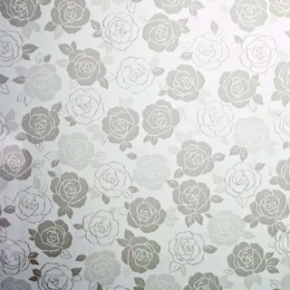 【特力屋】韓國優質素面窗貼 蕾絲 100x200cm LSP14B