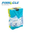 【PINNACLE】保冷冰磚600ml 二入組(冰寶 保冰劑 保冰 保冷磚 凍磚 冰磚)