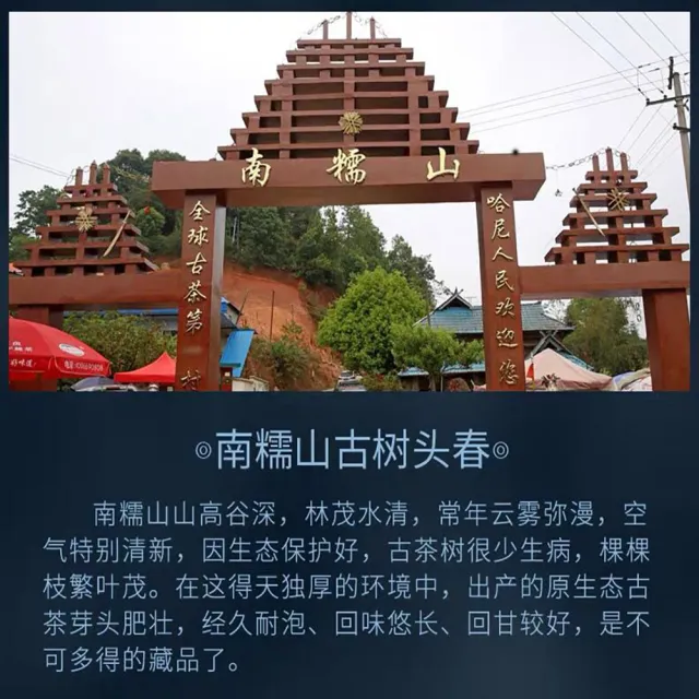 【盛嘉源】南糯山 古樹純料手工壓制  2020(普洱茶   生茶 357g)
