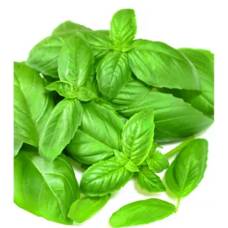 【小美紀】甜羅勒 種子26V(甜羅勒 蔬菜 盆栽 種子 介質)