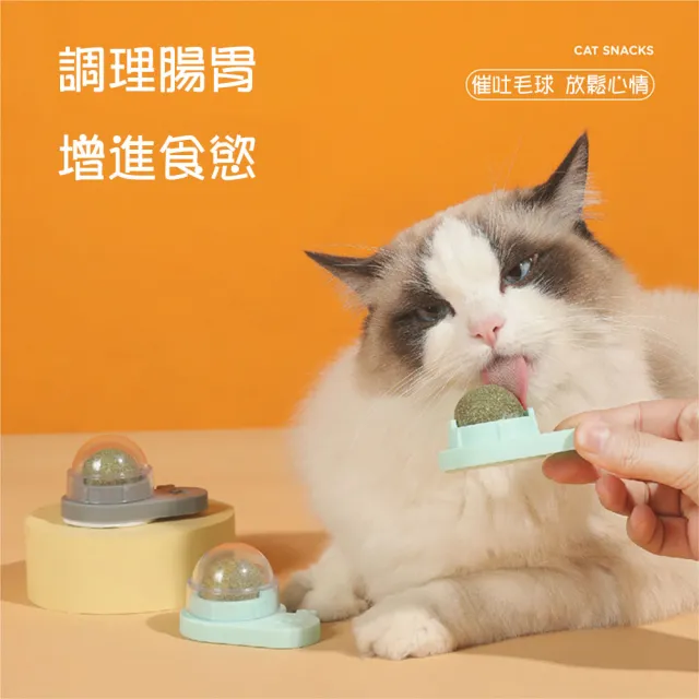 【寵物愛家】貓咪自嗨舔舔薄荷貓抓板玩耍套組2入(貓咪玩具)