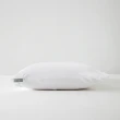 【HOLA】馬來西亞乳膠枕標準型H13cm