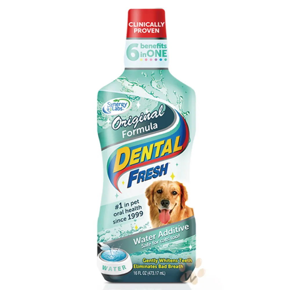 【美國潔牙白Dental Fresh】一般版潔牙液 503ml*4入組(寵物潔牙)