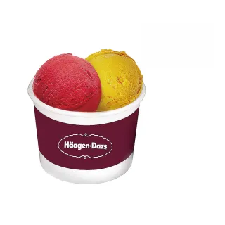 【Haagen-Dazs】哈根達斯 外帶雙球冰淇淋(即享券)