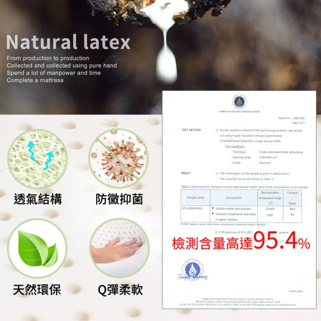 【LooCa】5cm泰國乳膠床墊-搭贈舒柔防蹣布套(單人3尺)