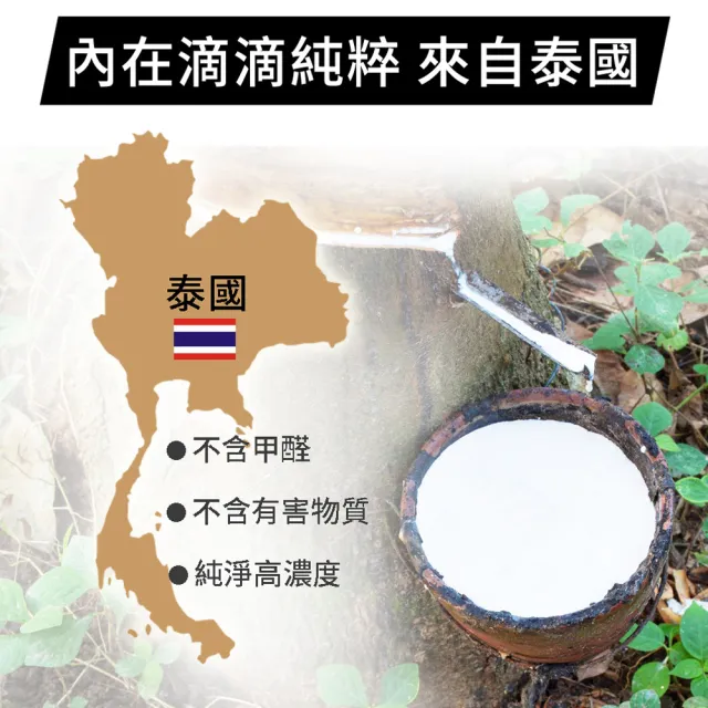 【LooCa】5cm泰國乳膠床墊-搭贈美國抗菌布套(單大3.5尺)