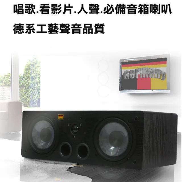 【BARY】唱歌家庭影劇院用中置型人聲喇叭(GE-6.5)