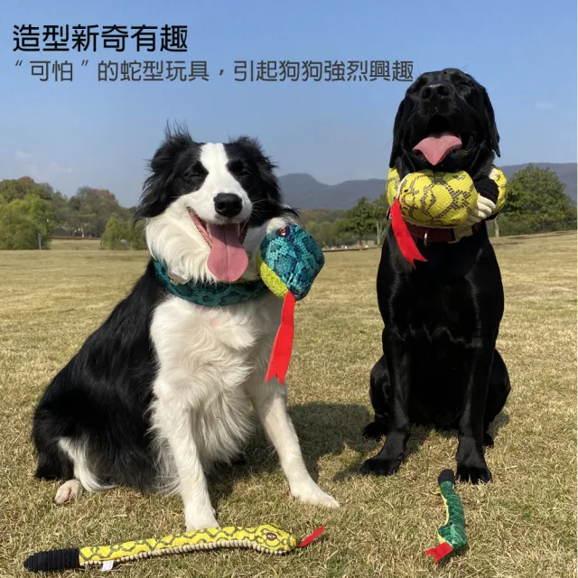【美好寵商】尖叫大蛇互動性玩具(啃咬玩具 啾啾玩具 毛孩玩具 狗玩具)