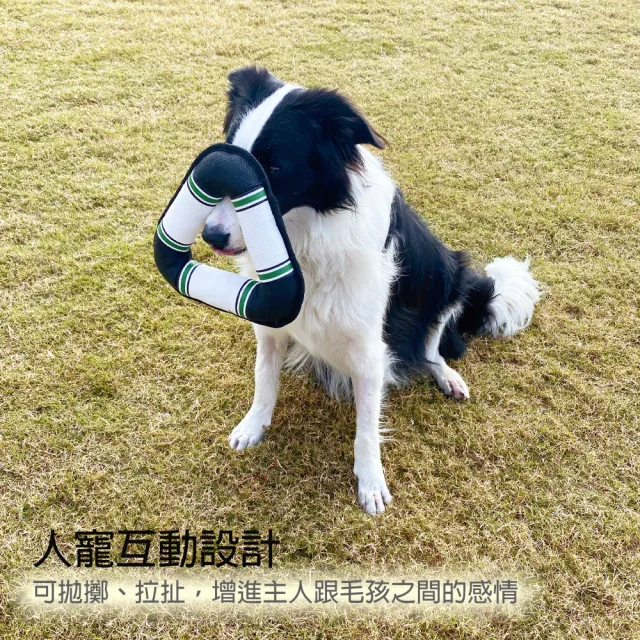 【美好寵商】Petsville派思維 特斯林狗狗耐咬互動玩具(狗狗玩具 磨牙玩具 解悶耐啃 大小型犬)