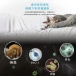 【Jindachi 金大器】雙人5尺-網層保潔墊床包式(尿床/吐奶/生理期/漏尿/居家臥床/推薦)