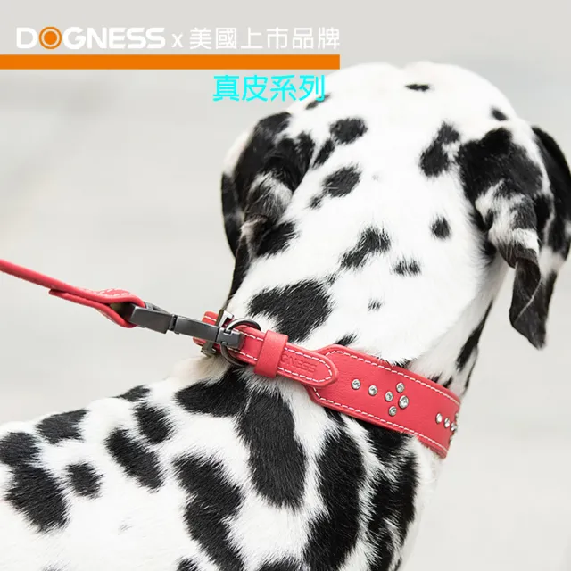【美好寵商】DOGNESS多尼斯 真皮系列鑽石牽引繩_Ｍ號(寵物牽繩 戶外牽繩 狗牽繩)
