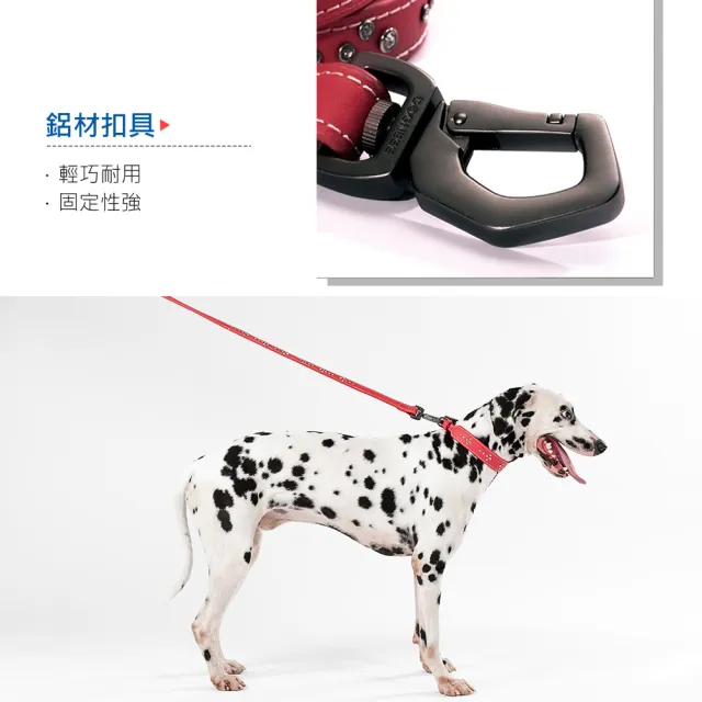 【美好寵商】DOGNESS多尼斯 真皮系列鑽石牽引繩_Ｍ號(寵物牽繩 戶外牽繩 狗牽繩)