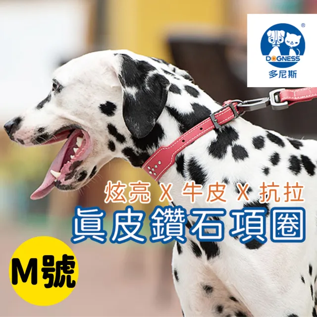 【美好寵商】DOGNESS多尼斯 真皮系列鑽石項圈_M號(狗項圈 狗狗項圈 真皮項圈)
