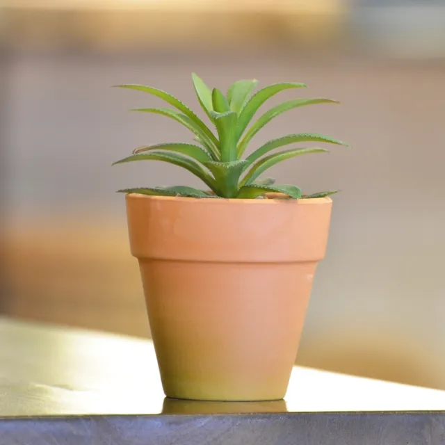 【YU Living 信歐傢居】迷你人造陶盆植物四件組 仿真植物盆栽(四件一組/綠色)