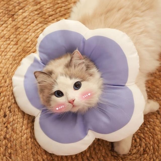 【Jun Jun】伊莉莎白圈 寵物防舔防咬軟頭套(花朵款)