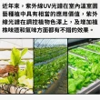 【JIUNPEY 君沛】40W 3呎UV全光譜防水型植物燈管 雙排燈芯設計(植物生長燈 三防燈)