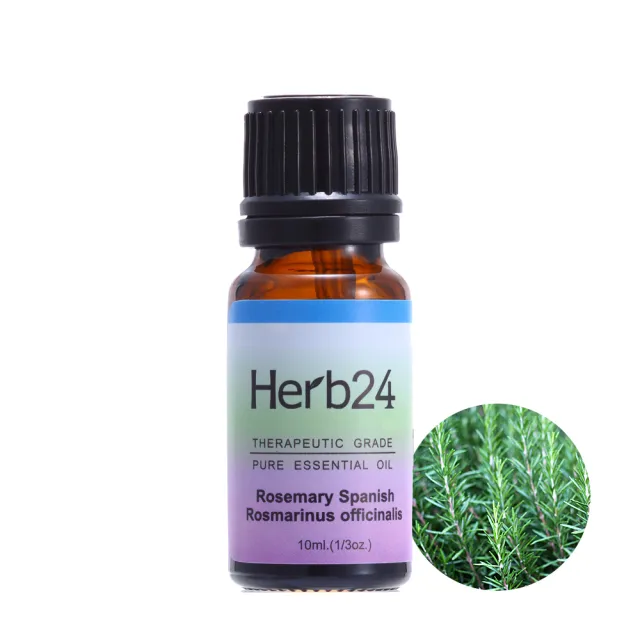 【草本24】活力能量精油三件組｜含：迷迭香、苦橙葉、百里香精油 各10ml(重拾信心 充盈能量必備)