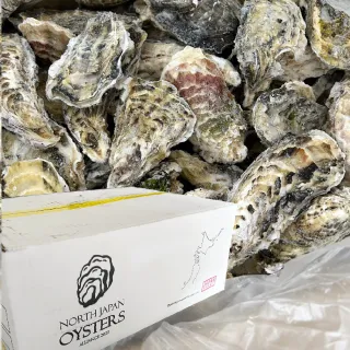 【一手鮮貨】日本宮城縣生食級牡蠣_2L(1箱組/10kg)