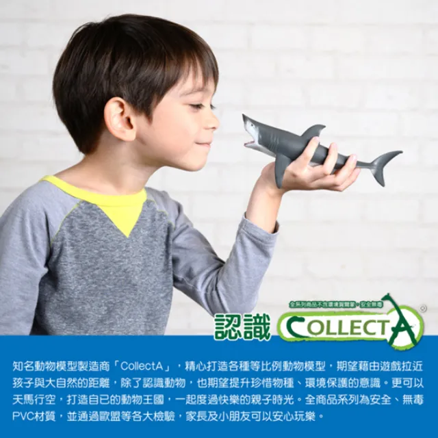 【collectA】海洋生物-龍蝦(R88920)