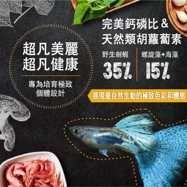 【鮮蝦食譜】孔雀＆卵胎生魚-全天然螺旋藻大蒜蝦肉堡120ml(孔雀魚飼料 魚飼料 水族飼料)