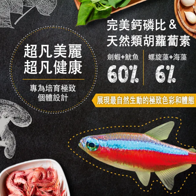 【鮮蝦食譜】挑嘴燈魚＆小型熱帶魚-全天然蛋白魷魚大蒜蝦肉堡120ml(燈魚飼料 小型魚飼料 小魚飼料)