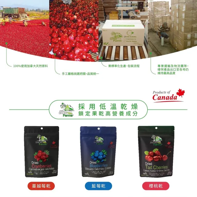 【加拿大 SNOW Farms】天然藍莓+櫻桃果乾2包組(120g/包)