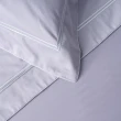 【HOLA】艾維卡埃及棉刺繡歐式枕套2入晨紫