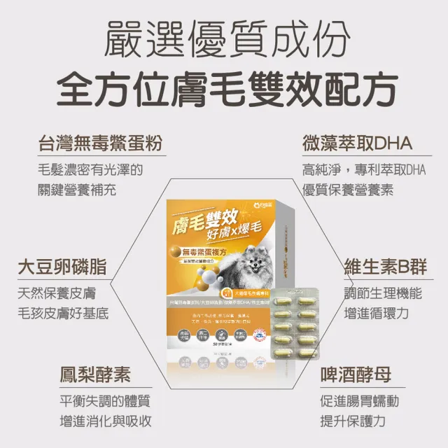 【Pet-Pro 毛孩寶】膚毛雙效爆毛膠囊 50粒/盒(犬貓皮膚保健、貓狗爆毛、台灣無毒鱉蛋粉)