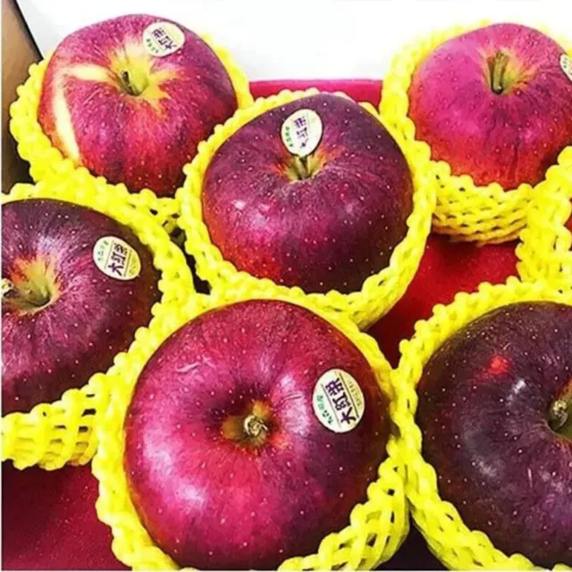 【RealShop】日本特選大紅榮蘋果 10kg±10%x1箱(32-36顆原裝 真食材本舖)