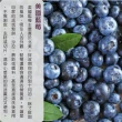 【光合果物】美國空運藍莓12小盒原裝箱(12小盒/原裝箱)