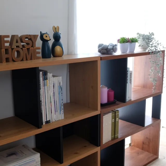 【EASY HOME】台灣製 -厚板五層收納展示書櫃-北歐原木色+黑色(書櫃 收納櫃 置物櫃 書本收納 展示櫃)