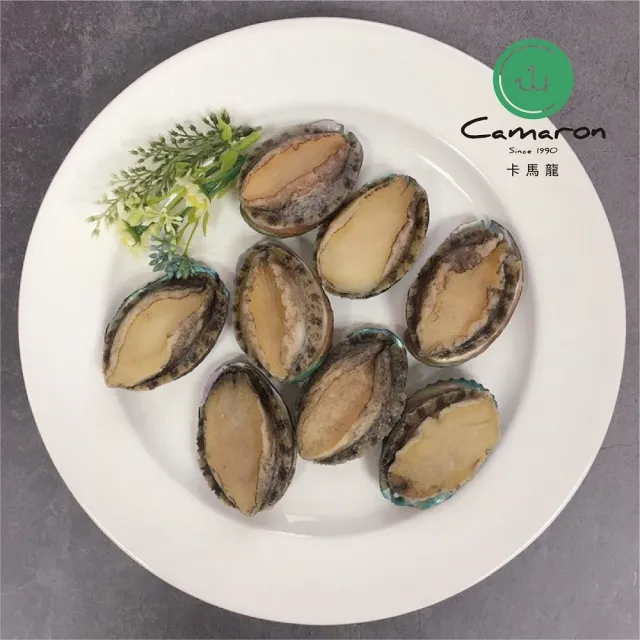 【Camaron 卡馬龍】頂級外銷級活凍帶殼鮑魚20入組(500公克/約10顆)