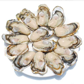 【一手鮮貨】日本室津原裝生食級牡蠣_2L(20顆組/2L生食級/一年生/生蠔)