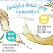 【Ausgarden 澳維花園】尤加利青檸健康皂100g(澳洲天然植萃溫和洗淨健康香皂)