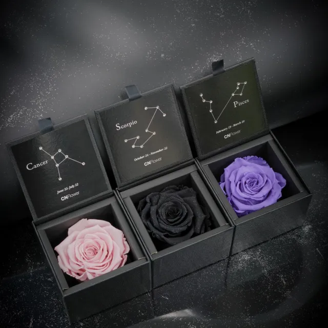 【CNFlower 西恩】星座恆星花2.0-12星座 1+1組合(送禮/買花/恆星花/花禮/星座/生日禮)