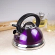 Creative Home Alexa 2.85升紫色高級不鏽鋼笛音茶壺 開水壺 茶水壺 冷水壺
