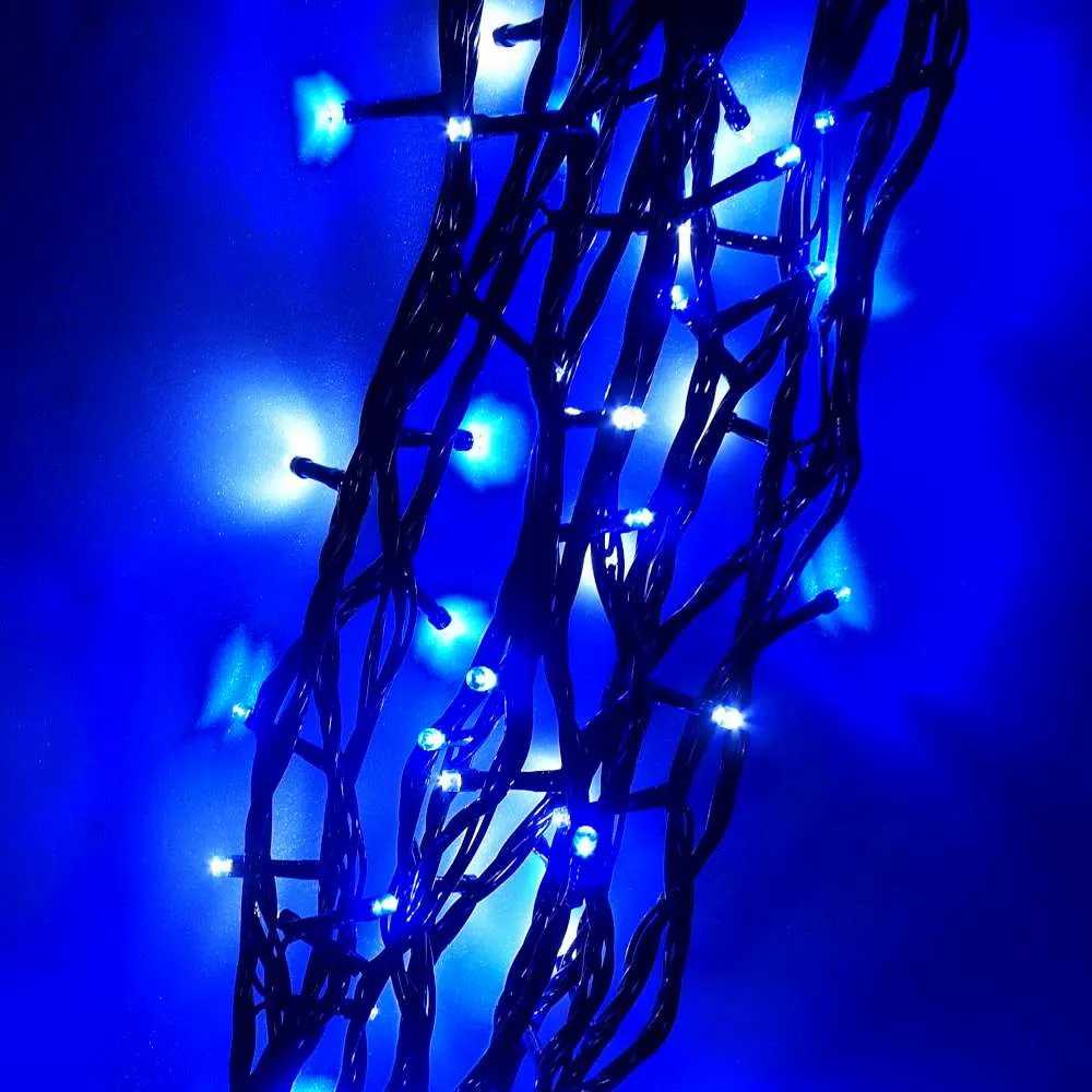 【摩達客】100燈LED燈室內專用串樹燈聖誕燈/藍白光黑線/附贈IC控制器