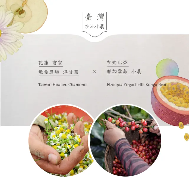 【SATUR 薩圖爾】洋甘菊｜濾掛式咖啡x2入組 ( 故宮聯名系列 )(10gx6入/盒;100%阿拉比卡豆)