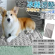 【LIKE PET】多功能涼感冰絲寵物墊-S 50x40cm(夏日消暑/冷感降溫/寵物睡墊/冰涼睡墊)