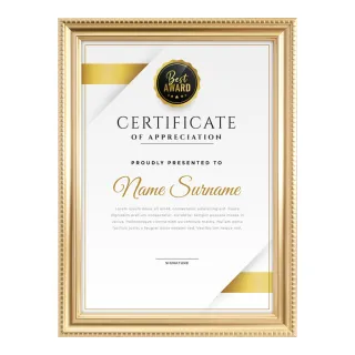 【TRENY】金賞A4獎狀證書相框-金