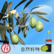 【春哥好物水果乾專賣店】醋酢橄欖小袋入(獨特風味小袋便利)
