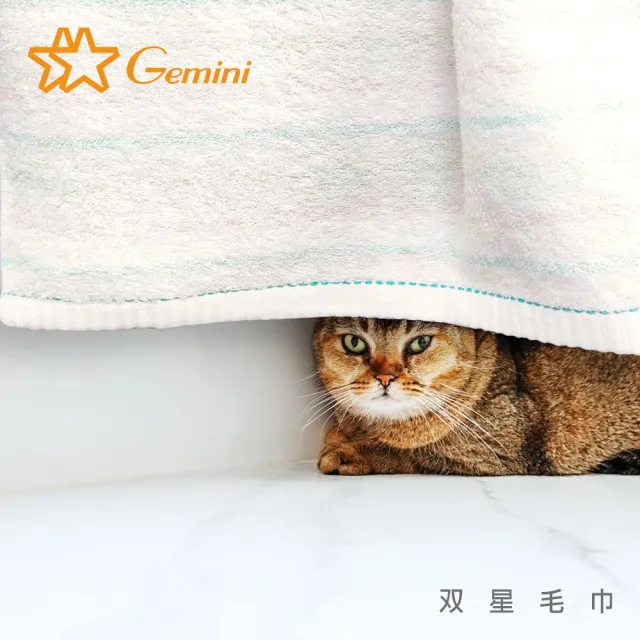 【Gemini 雙星】官方直營 精梳棉粉彩條紋系列(方巾超值三入組)