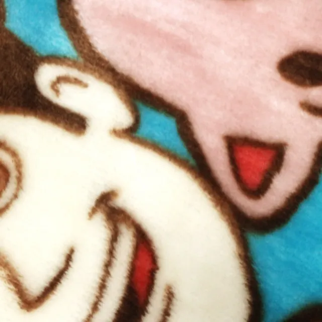 【Marushin 丸真】迪士尼 玩具總動員 多功能絨毛毯 80x150cm 滿版大臉(生活 雜貨)