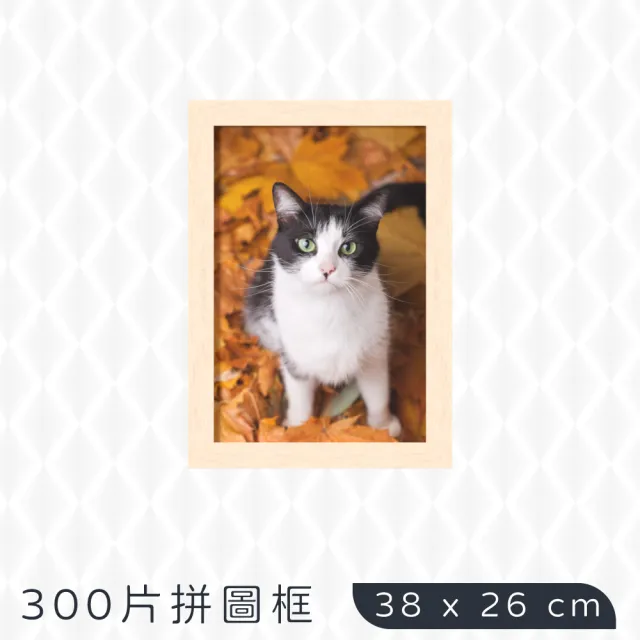 【TRENY】300片拼圖框38x26cm-黃木