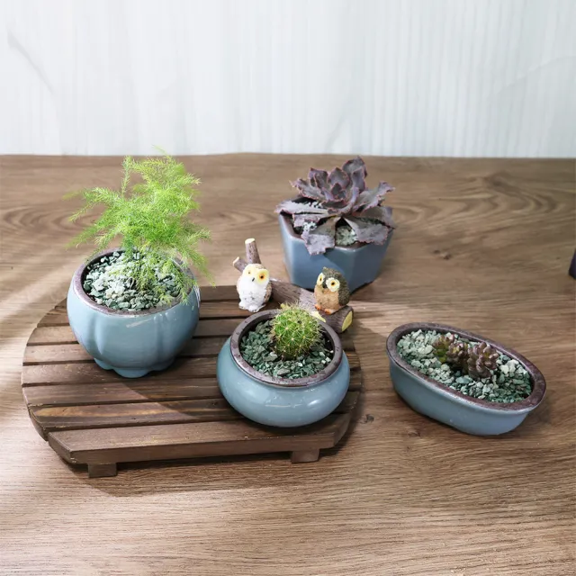 【園藝蒔光】哥窯陶瓷盆五款組(園藝 盆裁 多肉 植物 仙人掌 陶盆)